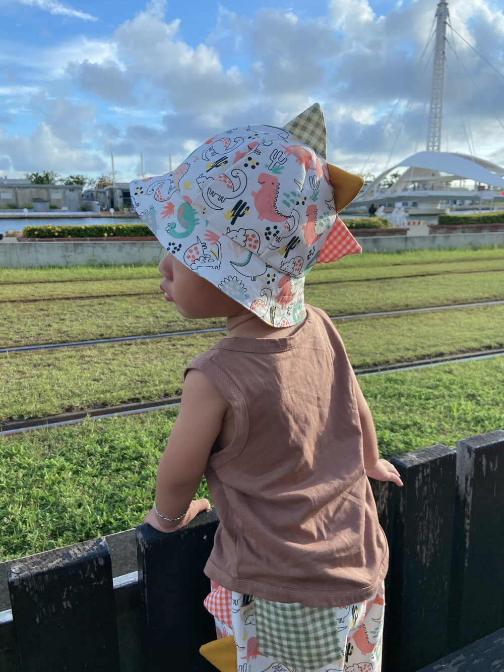 20250622_092443541_iOS 恐龍帽